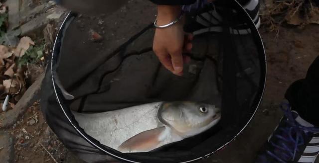 用蚯蚓釣魚技巧_釣魚蚯蚓怎么用_使用蚯蚓釣魚的六個技巧