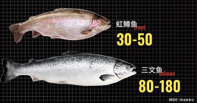 虹鱒魚和三文魚有什么區別_區分三文魚和虹鱒魚_三文魚魚虹鱒魚區分
