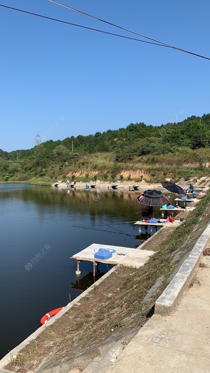 柳州釣魚人_柳卅釣魚之家_柳州釣友之家