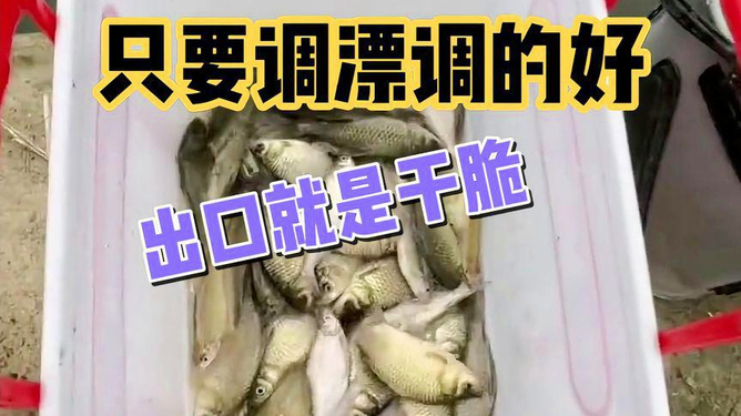 新手必知！野外河流釣魚攻略：選位、用餌、調漂
