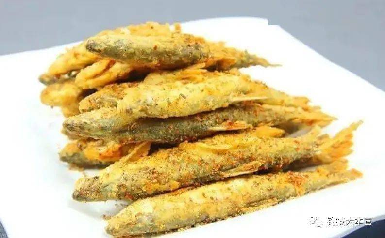 這是銀鯝和白條有一點不同如何作釣?