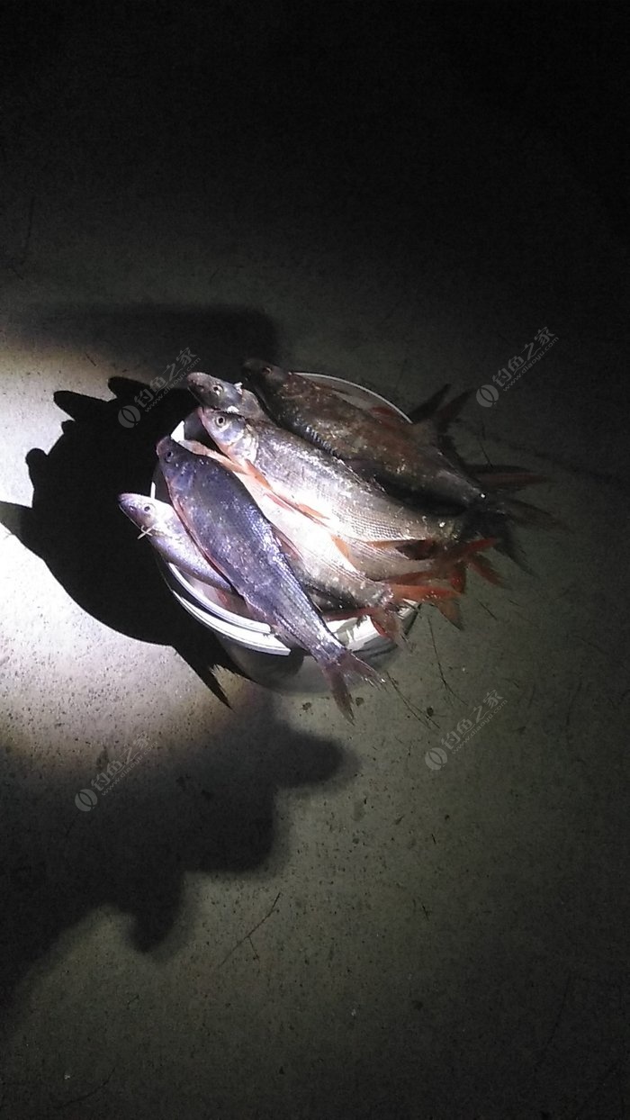 合肥路亞_合肥路亞大全_合肥哪里有路亞能釣魚
