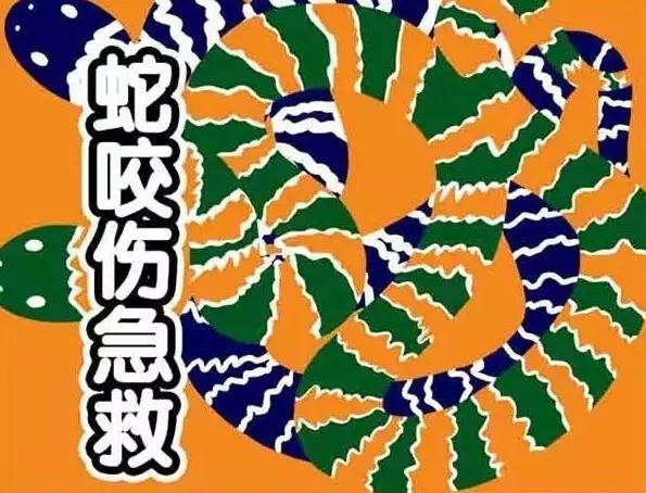 釣魚被毒蛇咬_釣魚被蛇咬_釣魚蛇咬住命根子