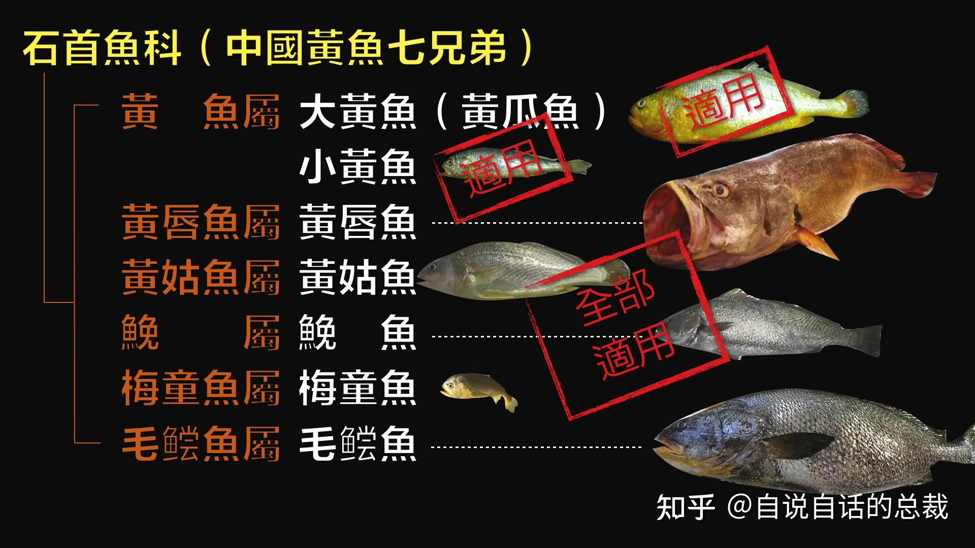 寧波黃魚面_黃魚做法_黃魚多少錢一斤