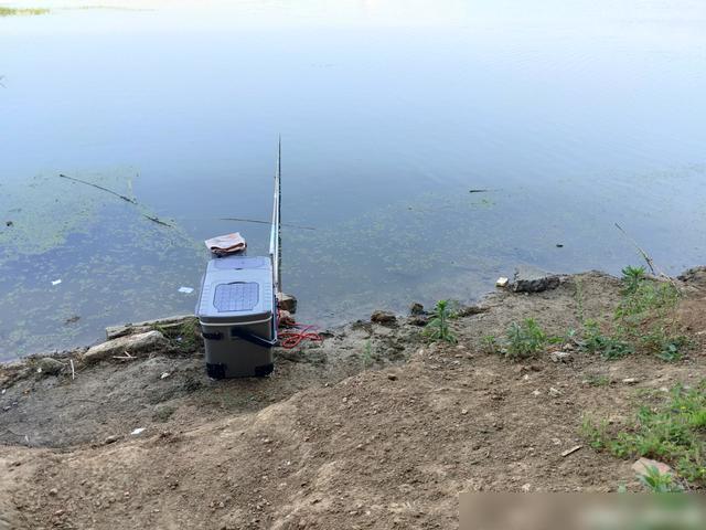 釣視頻掛鉤泥鰍鯰魚圖片_泥鰍釣鯰魚的掛鉤視頻_拋竿掛泥鰍釣鯰魚的掛法