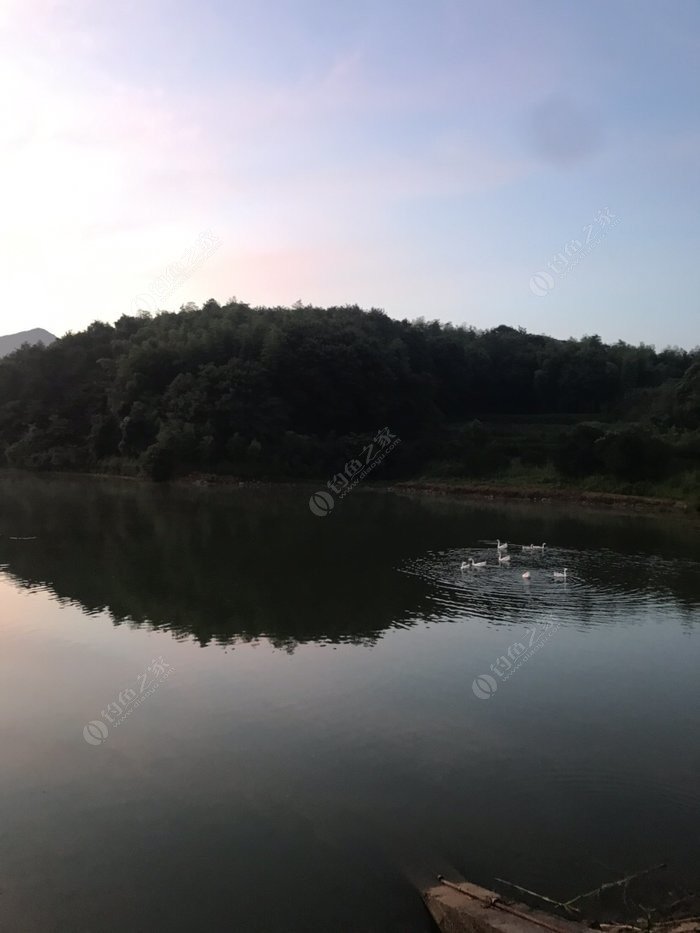 釣魚發燒友級別高有用嗎_垂釣之王和釣魚發燒友_釣魚發燒友后期玩法