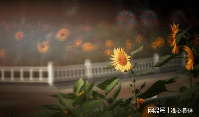 2炮司令_炮打司令部大字報原稿_炮打司令部畫作