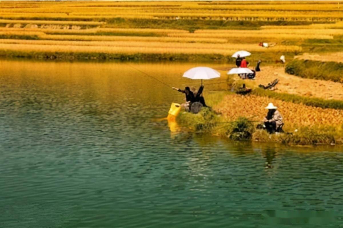 釣魚西南風好還是西北風好_西南風好釣魚嗎_釣魚西南風好釣嗎