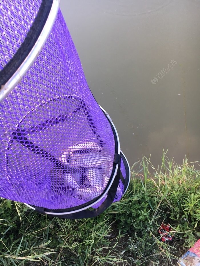 冬季釣魚技巧_釣魚技巧冬天_釣魚冬季技巧視頻
