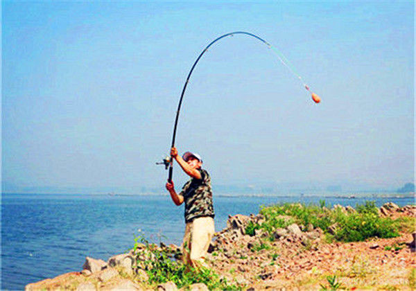 路亞草魚釣術：了解草魚習性與色彩偏好，提升釣魚體驗