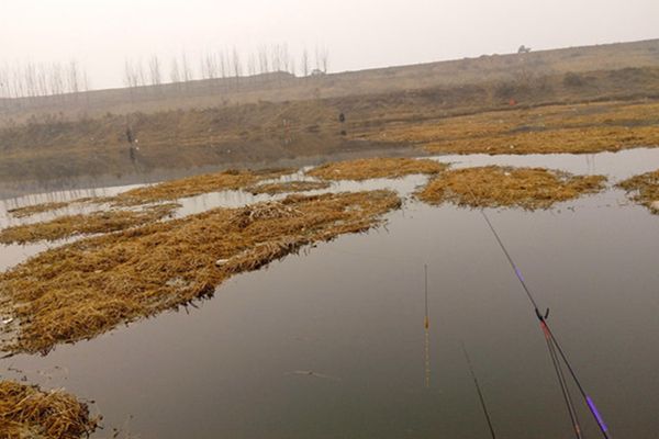 冬天釣魚技巧_冬天釣魚技術_釣魚技巧大全冬天