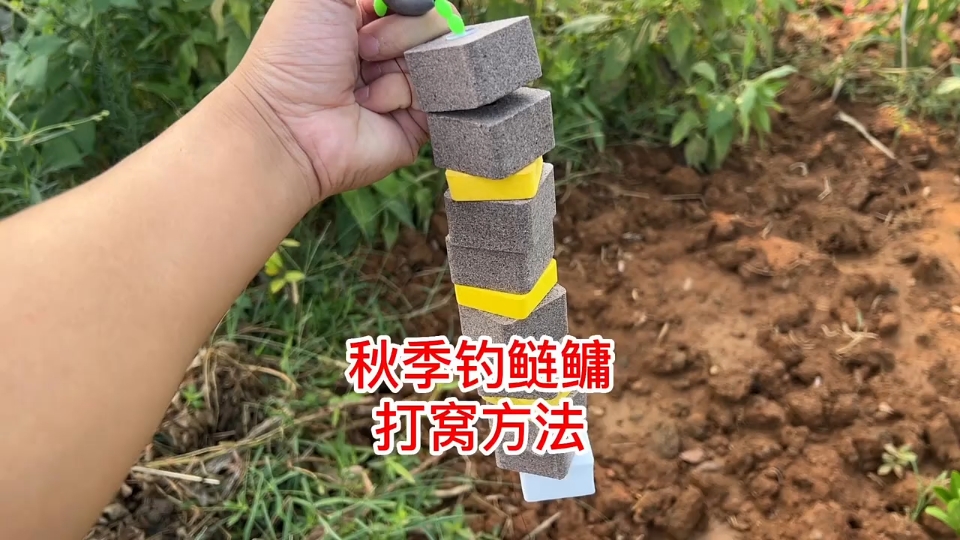 深度剖析野釣鰱鳙直播：吸引力與實用技法的全面解讀