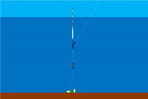 秋季釣魚技巧大全_秋季釣魚技巧_釣魚秋季技巧和方法