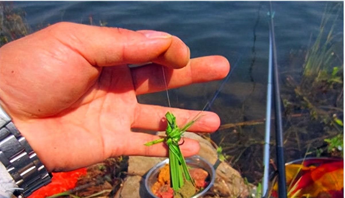 釣夏天餌料草魚用幾號鉤_夏天釣草魚用什么餌料_釣夏天餌料草魚用多大的鉤