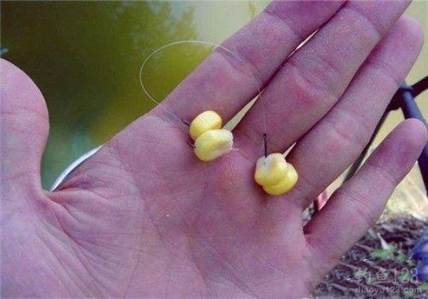 釣夏天餌料草魚用多大的鉤_釣夏天餌料草魚用幾號鉤_夏天釣草魚用什么餌料