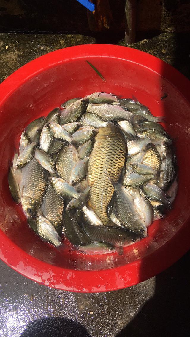 釣魚組線什么意思_釣魚組線怎么搭配_野釣線組