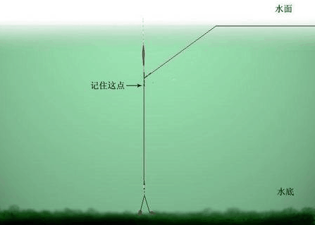 野釣草_野釣草_野釣草