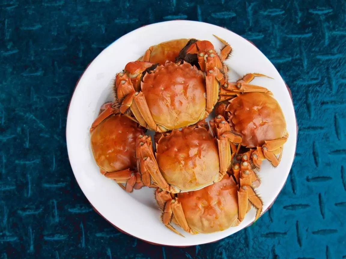 釣魚湖邊老人圖片大全_我剛才看到一位老人在湖邊釣魚_老人在湖邊釣魚，