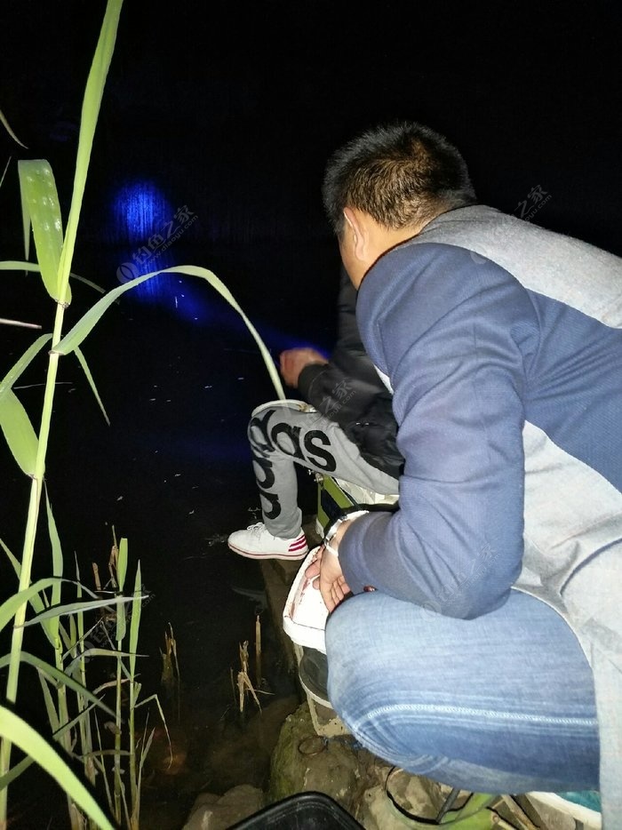 《老鬼釣魚視頻》激戰赤東湖必看_《老鬼釣魚視頻》激戰赤東湖必看_《老鬼釣魚視頻》激戰赤東湖必看