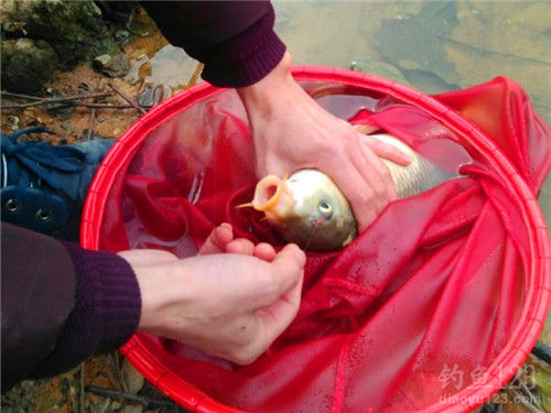 水庫釣魚方法大全_水庫釣魚教程_自然水庫釣魚必須掌握的四個技巧必看