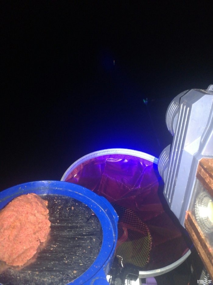 釣鯽魚夜釣_夜釣鯽魚技巧_釣鯽魚夜釣最佳時間