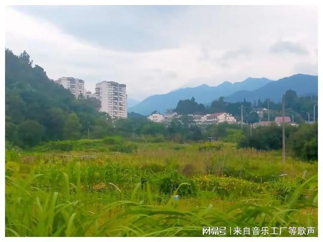 魚鉤事件五叔被害_魚鉤事件五叔被害_魚鉤事件五叔被害