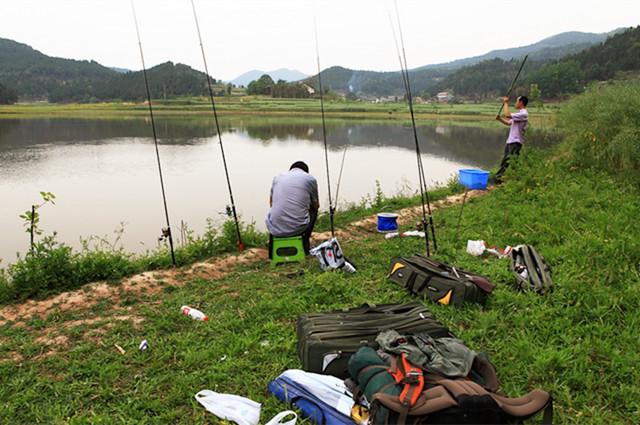 草魚垂釣必備：自制爆炸鉤餌料配方大揭秘
