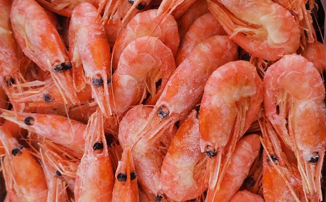 上古世紀釣魚大賽_上古世紀淡水魚怎么釣_上古世紀西大釣魚地點