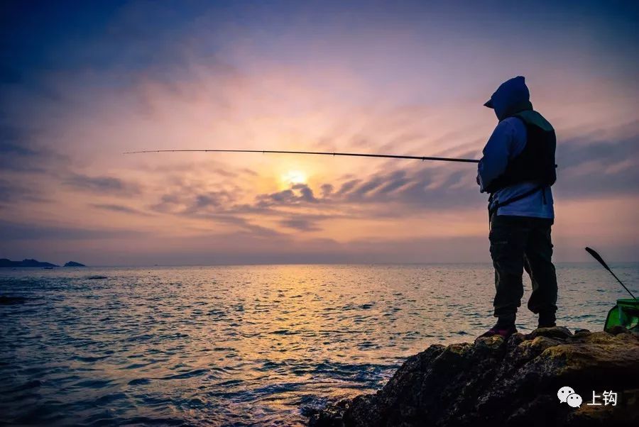 海釣魚視頻大全高清_釣魚視頻2021_釣魚視頻海釣