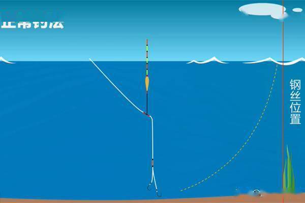 化紹新 2024 年釣魚視頻：技巧展現、魚鉤選擇與釣點分享