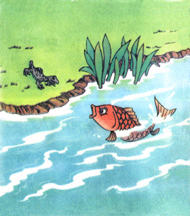 黑魚吃什么食物_吃黑魚好不好_吃黑魚有什么忌諱嗎