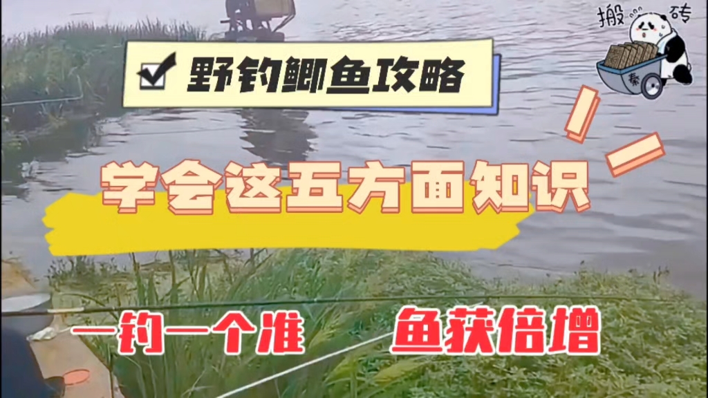 釣魚用餌_野釣用餌料_野釣用餌