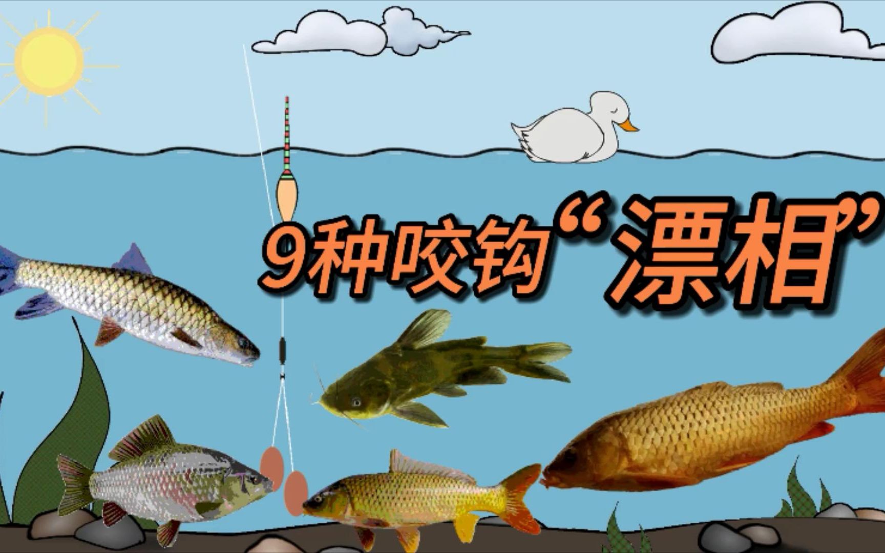 釣魚小藥：提升魚兒咬鉤幾率的關鍵，你選對了嗎？