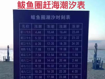 2024漲潮退潮時間表_表漲潮退潮時間2024_2021漲潮退潮日歷表