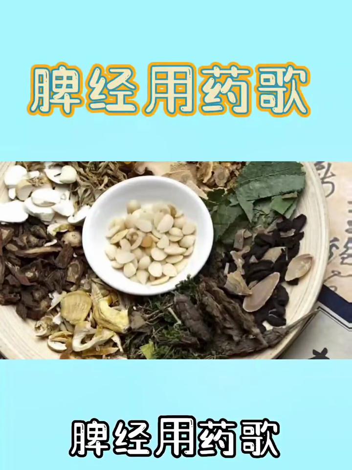中國中草藥網_中草藥網官方旗艦店_中草藥網址查詢