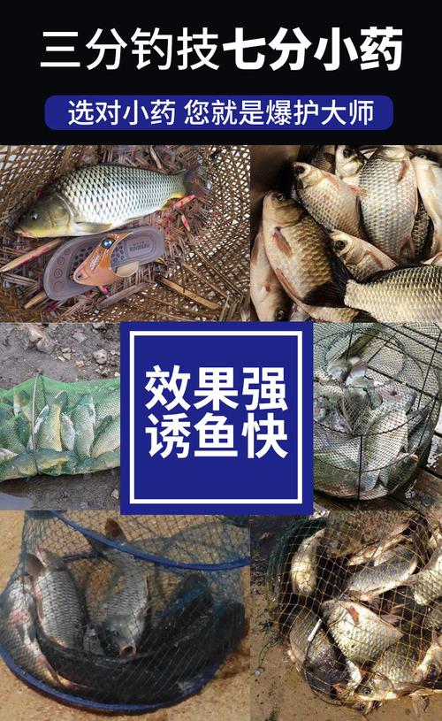 黑坑釣草魚用什么餌為好_黑坑釣草魚用什么鉤子比較好_黑坑釣草魚餌料
