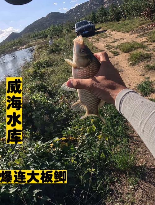 秋季配方鯽魚餌料野釣怎么搭配_秋季野釣鯽魚餌料配方_秋季配方鯽魚餌料野釣好釣嗎