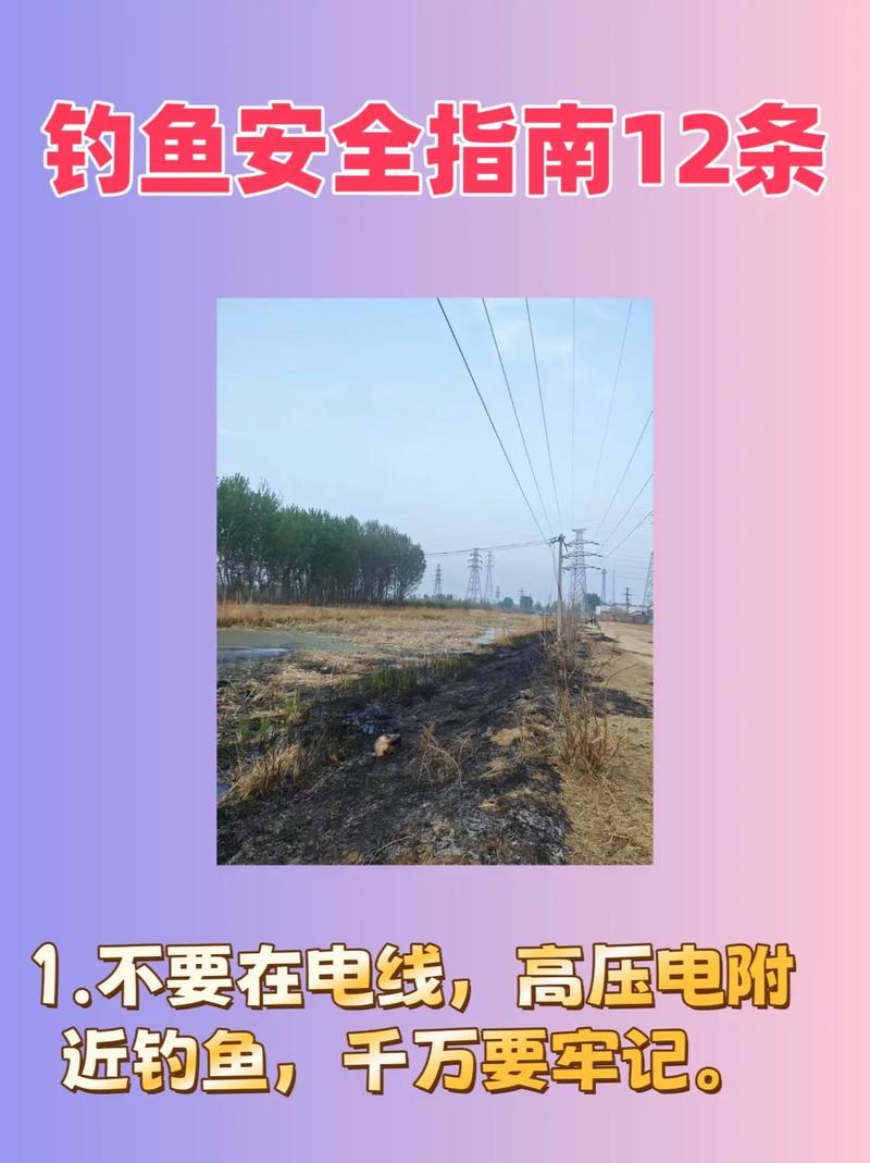 胡子魚吃什么食物_胡子食物魚吃了會死嗎_胡子魚吃什么食物長大