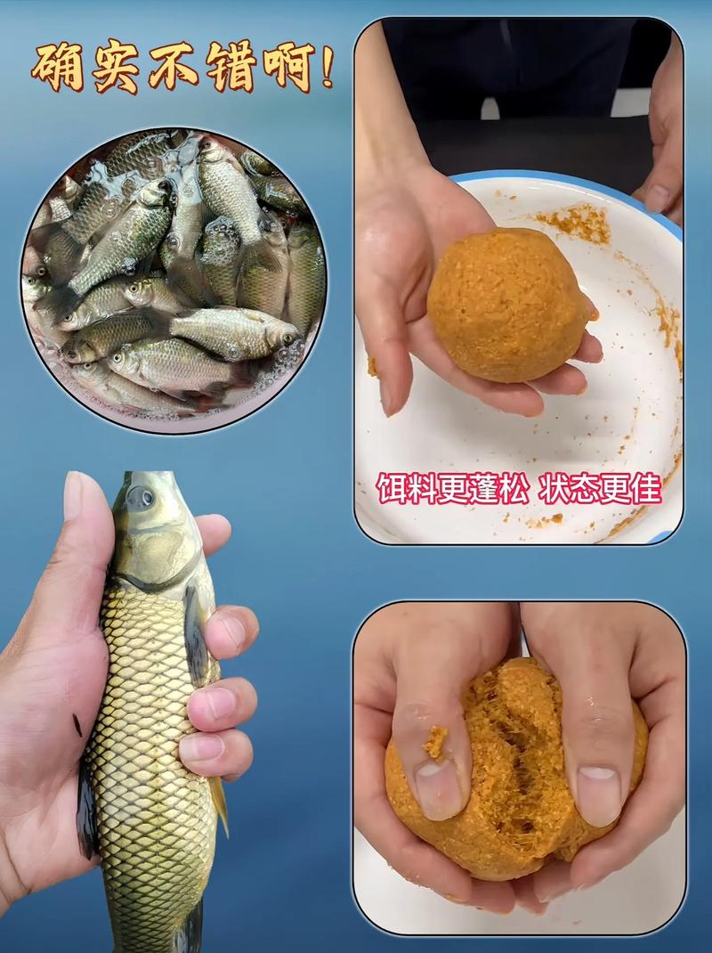 秋季釣草魚用什么餌料最好_秋季釣草魚用什么餌料最好野釣_釣秋季餌料草魚好用嗎視頻