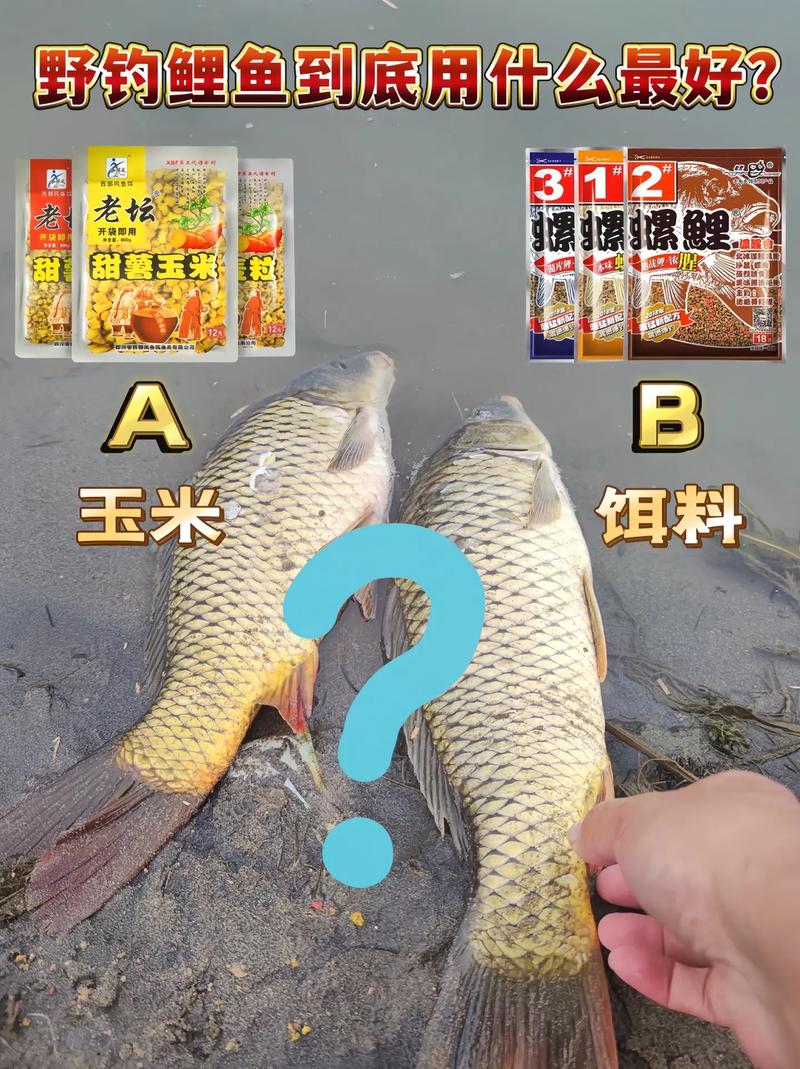 南方秋季釣草魚必備：玉米餌料的選用與優勢詳解