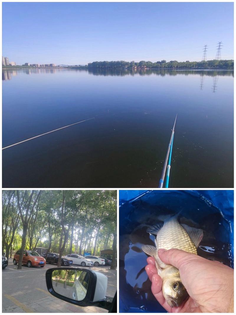 2020年潮白河釣魚有人管嗎_潮白河釣魚2020_今天有去潮白河釣魚的嗎