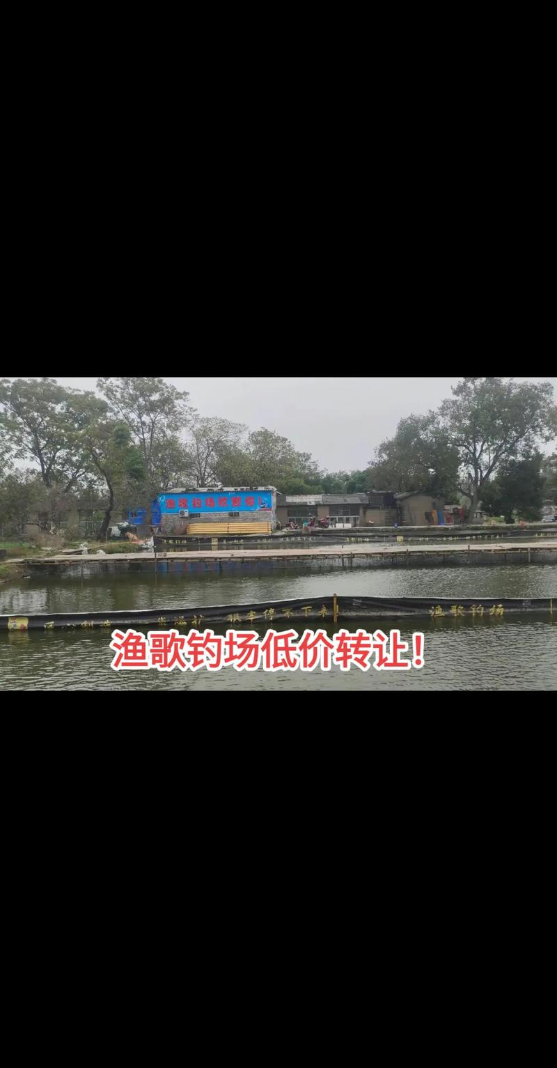 安慶桐城好玩的地方_安慶桐城景點一日游攻略_安慶桐城市免費釣場大全