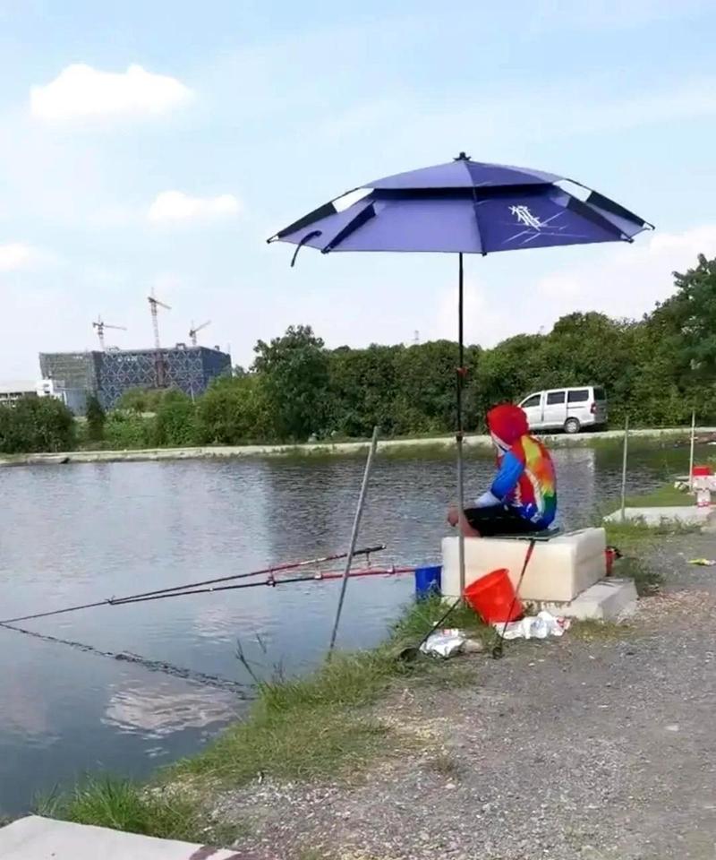 安慶桐城好玩的地方_安慶桐城市免費釣場大全_安慶桐城景點一日游攻略