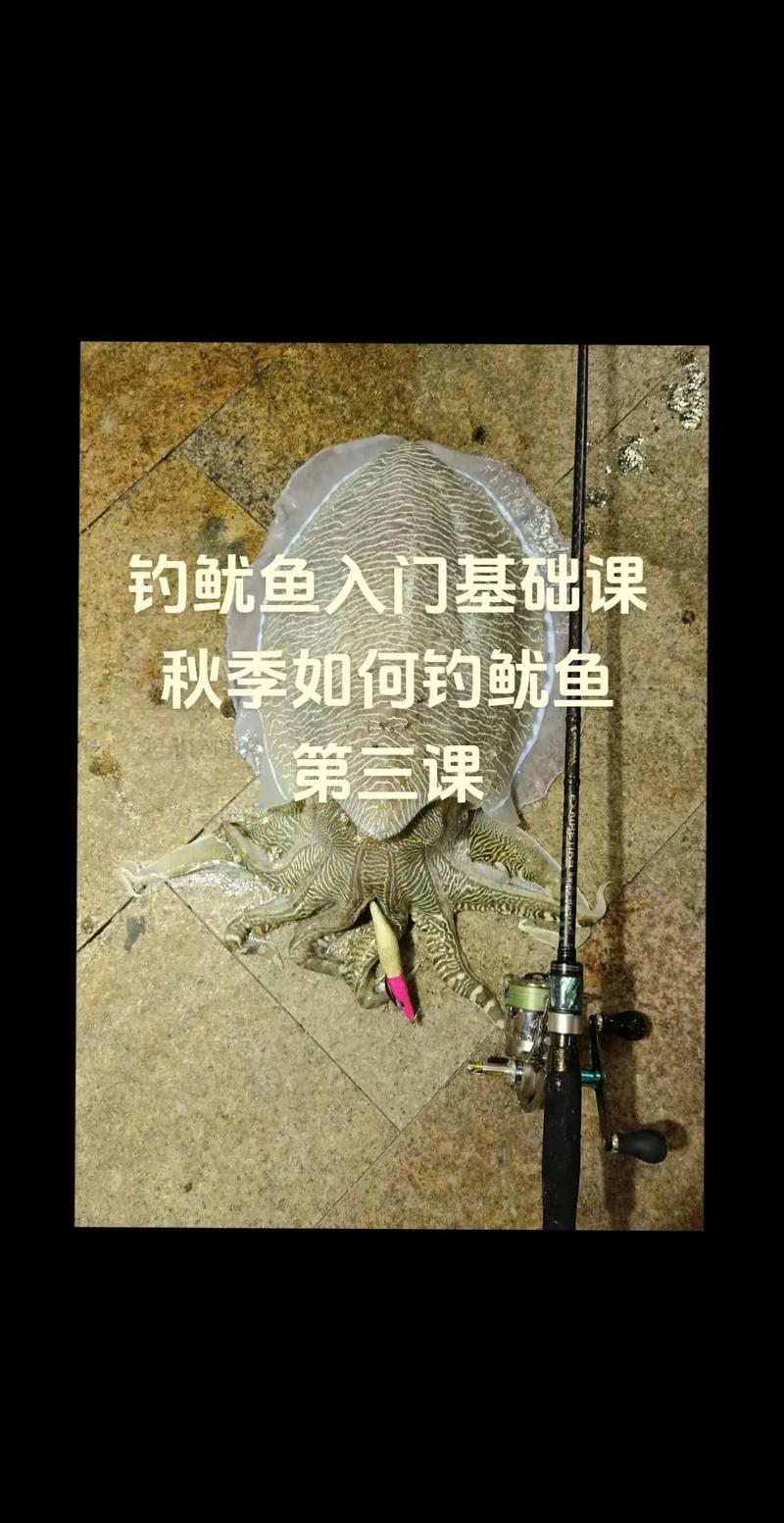 魷魚釣法教學視頻教程_魷魚釣法與水流的關系_魷魚_魷魚的釣法