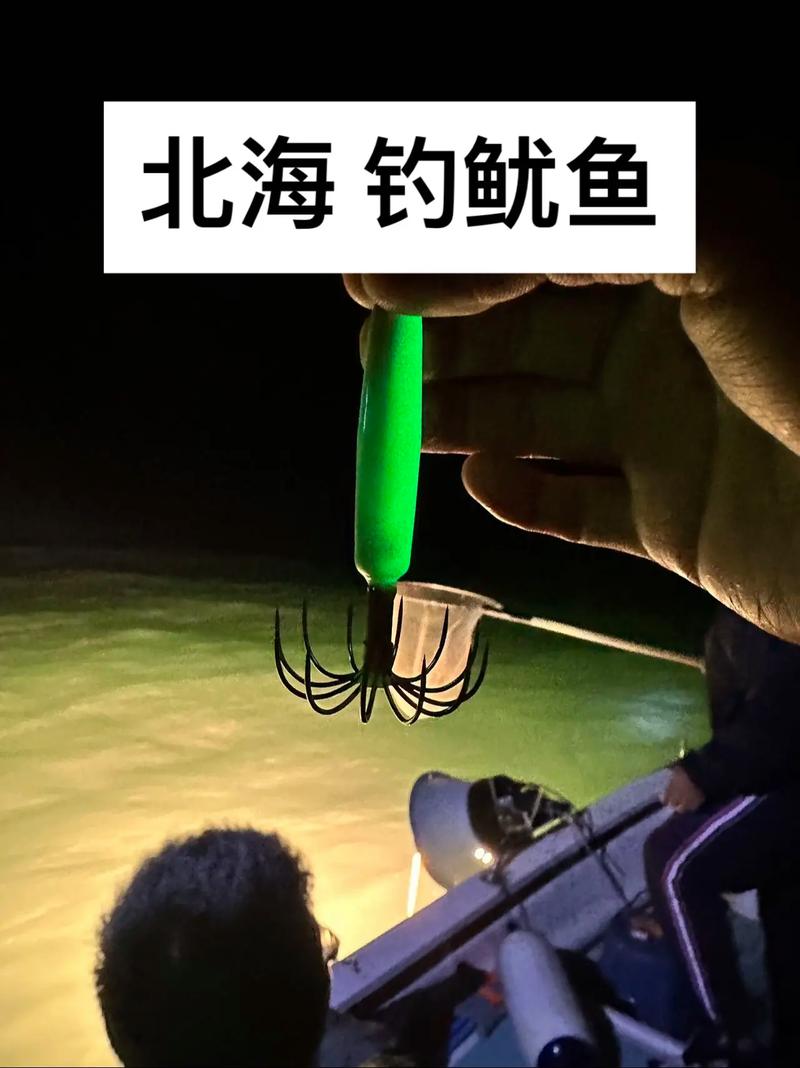 魷魚釣法教學視頻教程_魷魚釣法與水流的關系_魷魚_魷魚的釣法