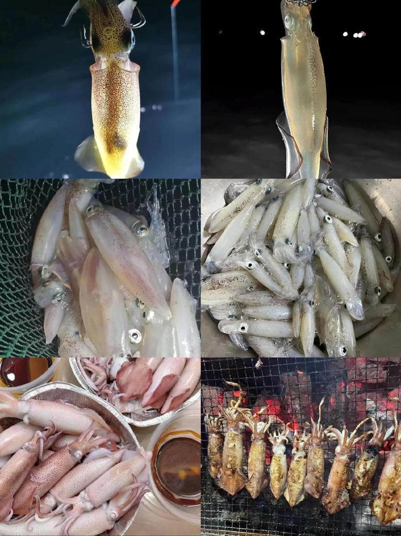 魷魚釣法與水流的關系_魷魚_魷魚的釣法_魷魚釣法教學視頻教程