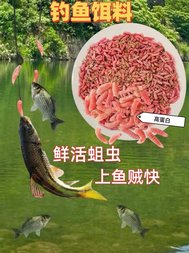 蛆：釣魚歷史中的重要生物蛋白魚餌及其廣泛應用