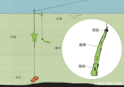 浮草釣草魚_浮釣草魚用什么草最好_浮釣草魚用什么餌料效果最好