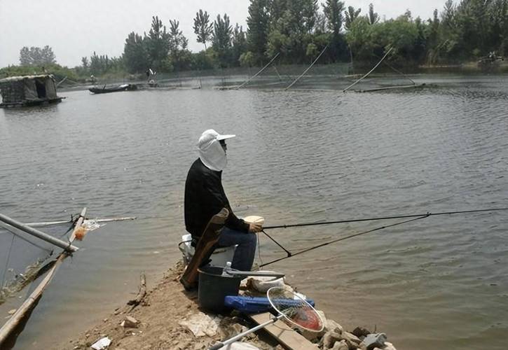 釣魚視頻水庫下載_水庫釣魚小視頻_水庫釣魚視頻