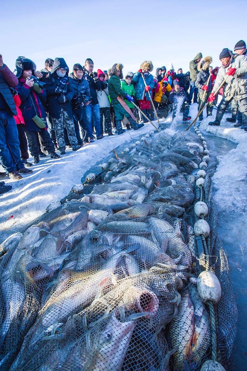 查干湖天氣預報_查干湖天氣預報_查干湖天氣預報